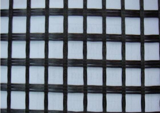 ɽ�|���w��ŏS��